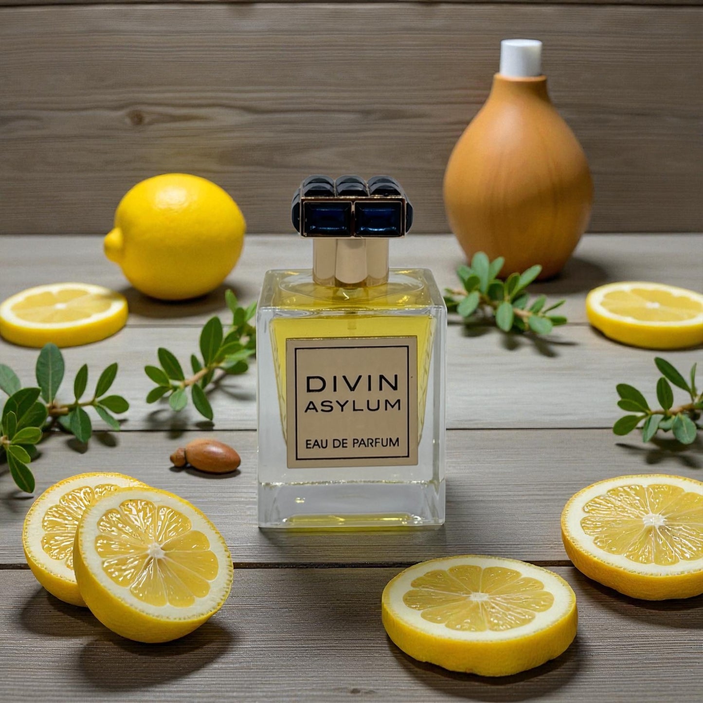 Divin Asylum – French Avenue (Hombre)